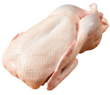 Pato Entero